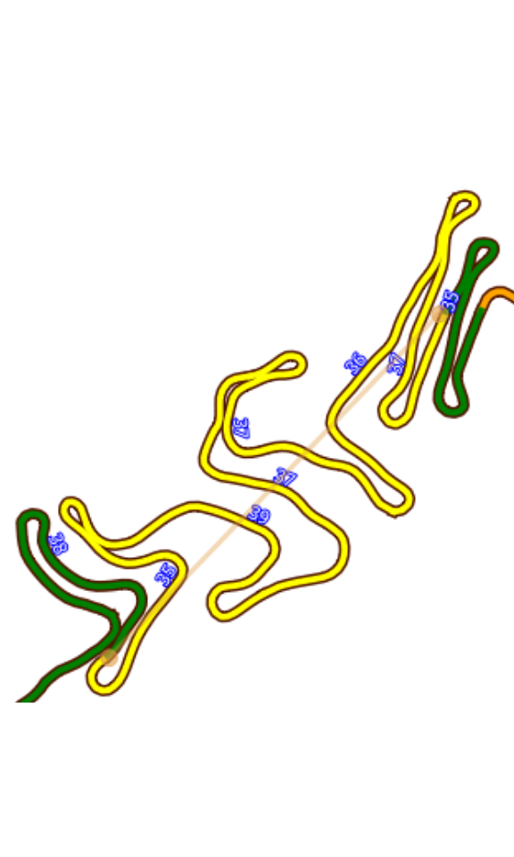 Concept of Turtuosity